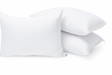 png_1500x1500_67929136